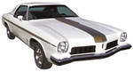 Photo represents subcategory: 1977 Cutlass Body Stripes