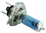Photo represents subcategory: 1970 Monte Carlo Light Bulbs