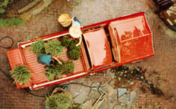 1965 el camino loading plants