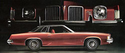 1973 grand prix