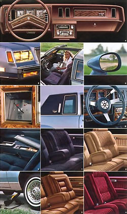 1981 Buick Regal